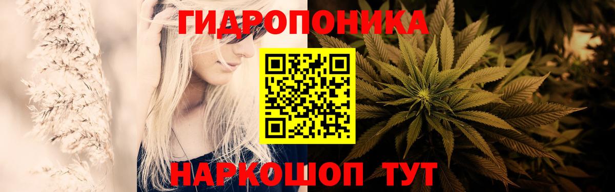 Марихуана OG Kush Коркино